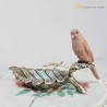 Decoratiune Parrot on a Leaf 22 cm x 15 cm - Romantic Home